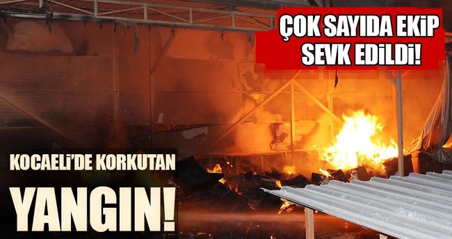 Son dakika haberi: Kocaeli'de büyük fabrika yangını