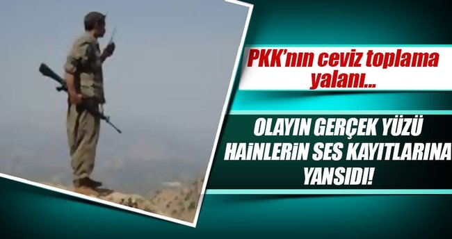 PKK'nın ceviz yalanı telsiz konuşmalarına yansıdı