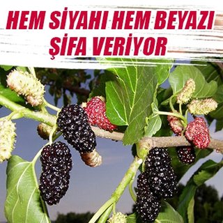 Hem siyahı hem beyazı şifa veriyor