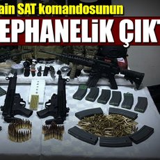 Özgürlük nedir - bir içgüdü, bencilce veya karakter özellikli bir biçimdir Özgürlük nedir - bir içgüdü, bencilce veya karakter özellikli bir biçimdir