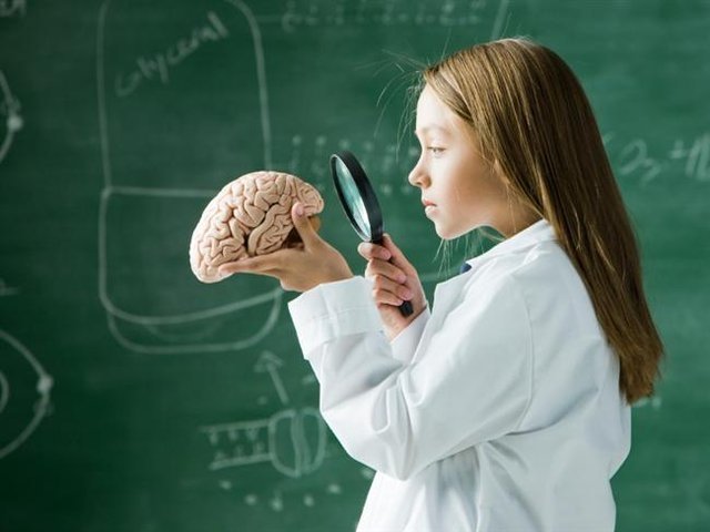 Beyin hakkında 24 şaşırtıcı gerçek!