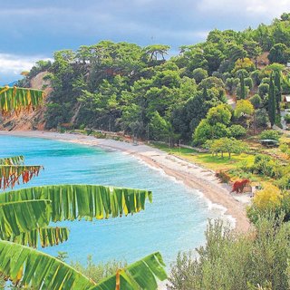 Yeşil ile mavinin uyumu Sisam