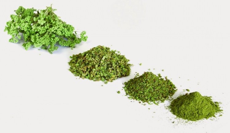 Bitki ve meyvelerin bilinmeyen özellikleri