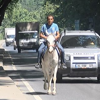 Asfalt kovboyu sürücüleri şaşırttı
