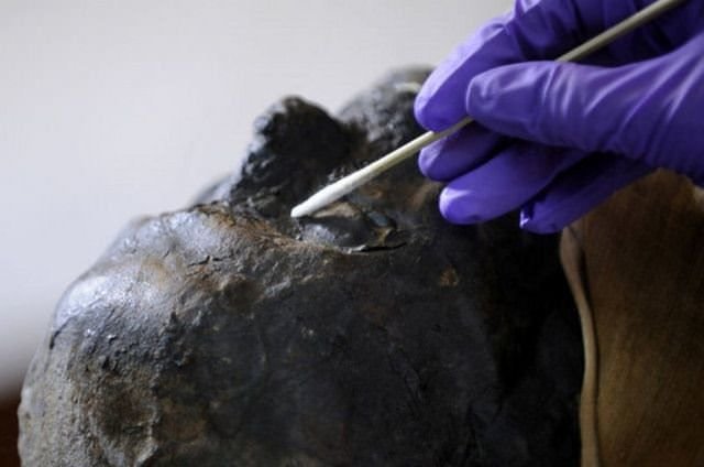 Mezarı açınca gözlerine inanamadılar