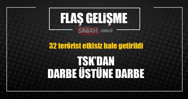 TSK: 32 DEAŞ mensubu etkisiz hale getirildi