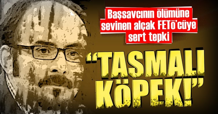 FETÖ'cü Emre Uslu'ya sert cevap: Tasmalı köpek
