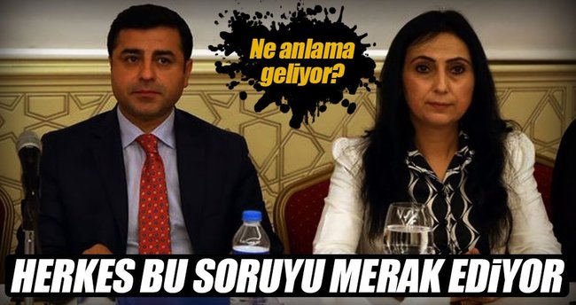 HDP'nin Meclis kararı ne anlama geliyor?