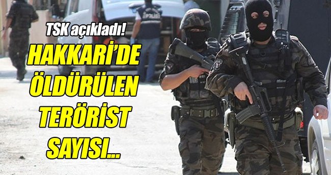 TSK: “Çukurca’da 254, Hakkari'de 374 terörist etkisiz hale getirildi”