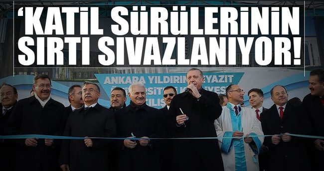 ‘Katil sürülerinin sırtı sıvazlanıyor’
