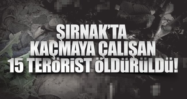 Şırnak'ta 15 terörist öldürüldü!
