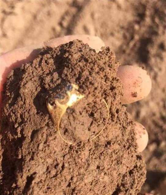 Mezarları açtıklarında gözlerine inanamadılar