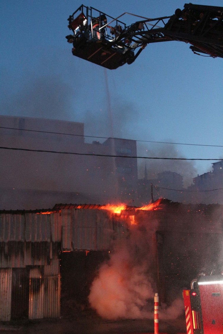 Son dakika: Sarıyer'de kurbanlık hayvanların bulunduğu barınakta yangın