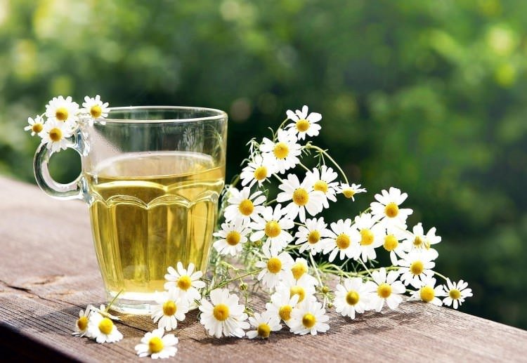 Bitki ve meyvelerin bilinmeyen özellikleri