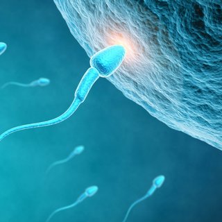 Sperm hareketinde azalma görülmesi ne anlama gelir?