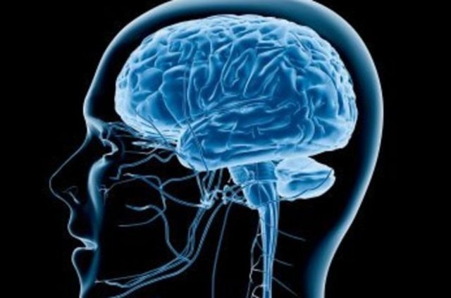 Beyin hakkında 24 şaşırtıcı gerçek!