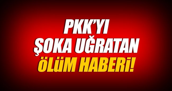 PKK'nın Erciş sorumlusu öldürüldü