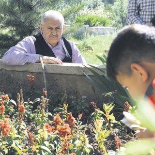 Anne-baba hasreti
