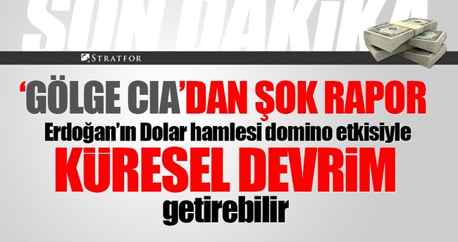 Stratfor: Erdoğan'ın küresel sistemi değiştiriyor! Dolar hamlesi domino etkisi yaparsa...