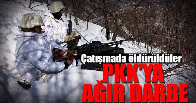 Bitlis'te terör örgütüne ağır darbe