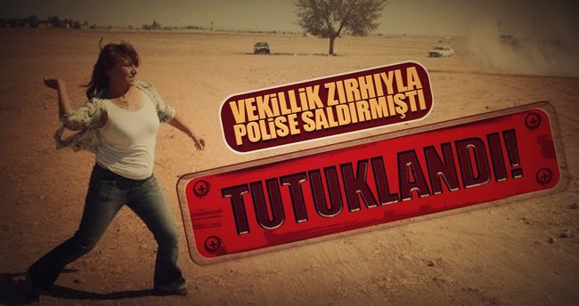 Son dakika: HDP'li vekil Aysel Tuğluk tutuklandı