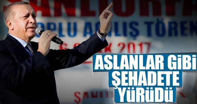 Cumhurbaşkanı Erdoğan: Aslanlar gibi şehadete koştu