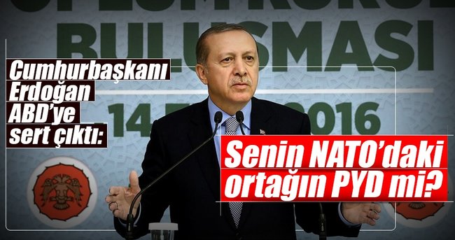 Senin NATO’daki ortağın PYD mi?