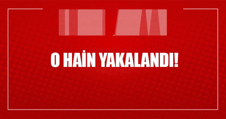 Hakkari'de 4 askeri şehit eden terörist yakalandı