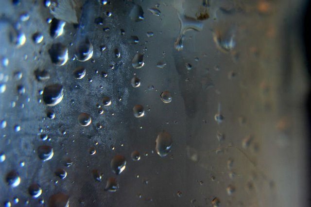 Gül yağının kilogramı 12 bin eurodan satılıyor!