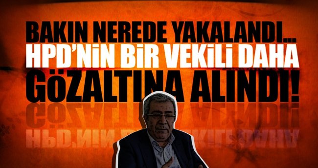HDP'li vekil kaldığı otelde gözaltına alındı