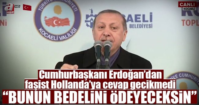 Cumhurbaşkanı Erdoğan: Hollanda bunun bedelini ödeyeceksin