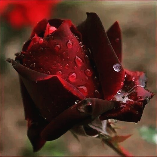 Ramazan ayına girmeden yeni bir başlangıca hazır mıyız?