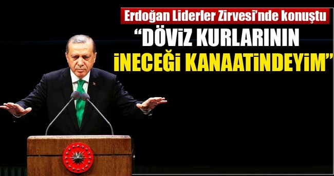 Döviz kurlarının aşağı ineceği kanaatindeyim