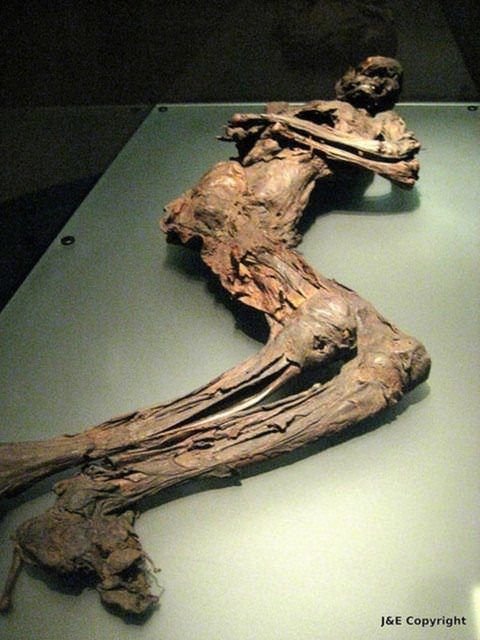 Mezarı açınca gözlerine inanamadılar