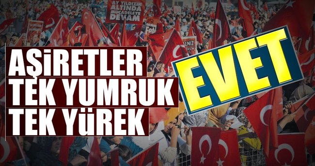 Aşiretler tek yumruk tek yürek 'Evet'