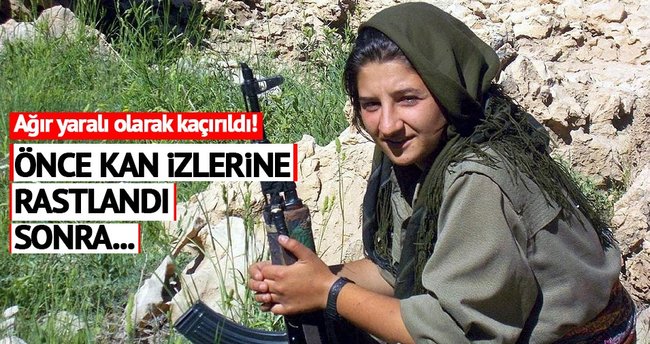 MLKP'nin Ovacık sorumlusu öldürüldü