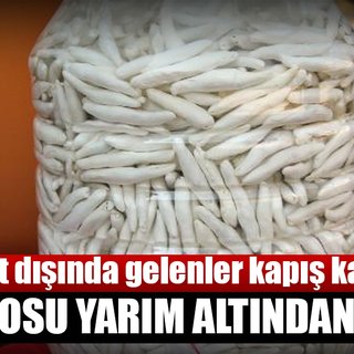 Birçok hastalığa iyi geliyor... Kilosu 600 TL