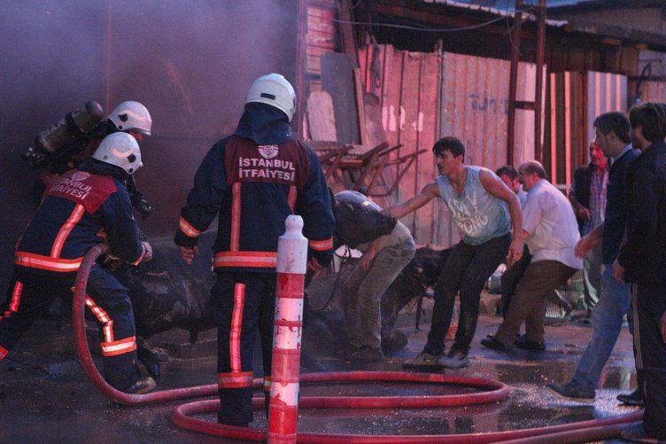 Son dakika: Sarıyer'de kurbanlık hayvanların bulunduğu barınakta yangın