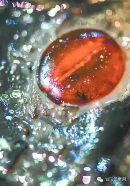 Mezarı açınca gözlerine inanamadılar