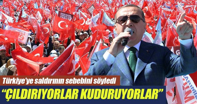 Çıldırıyorlar kuduruyorlar